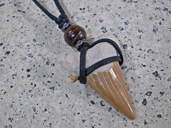 幸運のお守り★サメ歯化石チョーカー（ネックレス）