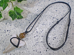 幸運のお守り★サメ歯化石チョーカー（ネックレス）