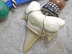 サーファーに大人気★サメ歯化石ストラップ